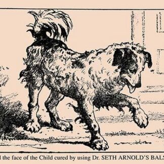 Find the Face of the Child by American Puzzle Co.