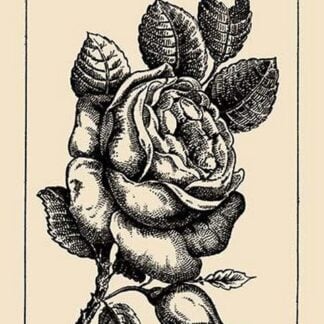 Find the Flower Girl by French Puzzle Card