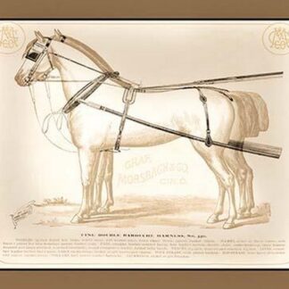 Fine Double Barouche Harness