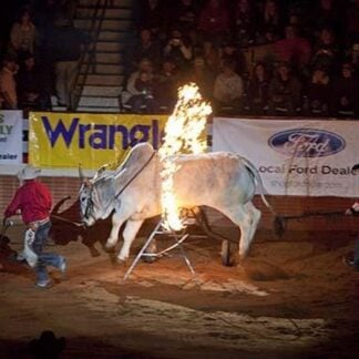 Fire Hoop by Carol Highsmith