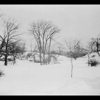 First Snow of the Season in Central Park by Press Illustrating