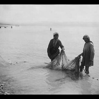 Fisherman Toiling with the Nets on the Sea of Galilee by American Colony in Jerusalem Photograhic Department