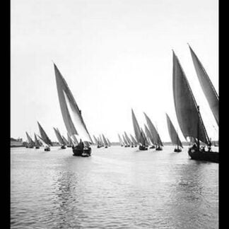Fleet of Native Boats on the Nile by American Colony in Jerusalem Photograhic Department