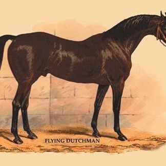 Flying Dutchman by L. Penicaut