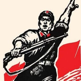 Follow for the Cause by Chinese Government