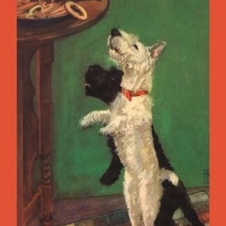 Foolish Little Bing by Diana Thorne