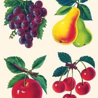 Four Fruits