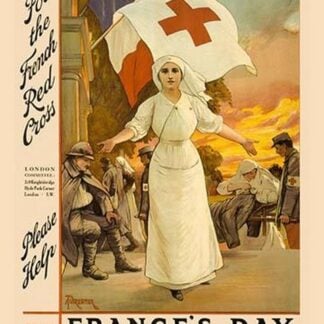 France's Day - Please Help by Amedee Forestier