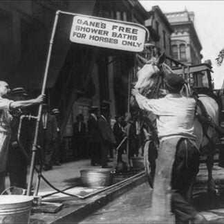 Free Shower Baths for Horses