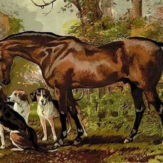 Freemason by Samuel Sidney