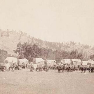 Freighting in the Black Hills by John C.H. Grabill #2