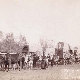 Freighting in the Black Hills by John C.H. Grabill