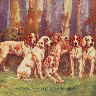 French Staghounds of the Chambray Strain by Baron Karl Reille