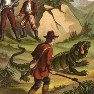 Fritz Finds an Iguana by Johann David Wyss