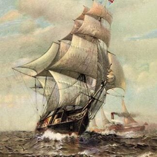 From the Antipodes by James G. Tyler