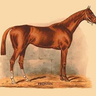 Frontin by L. Penicaut