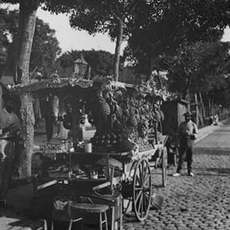 Fruit Stands on the Prado