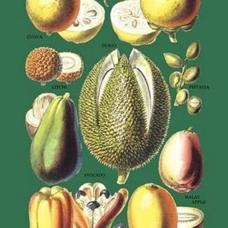 Fruits and Nuts