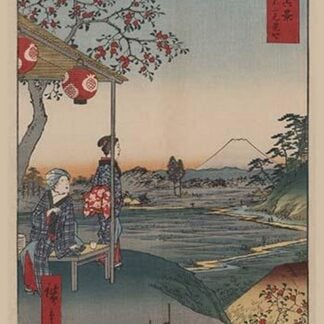 Fujimi Teahouse at Zoshigaya (Zoushigaya fujimi chaya) by Utagawa Hiroshige