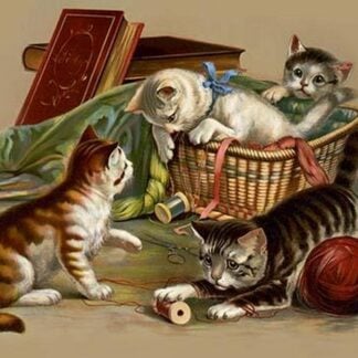 Full of fun by Muller