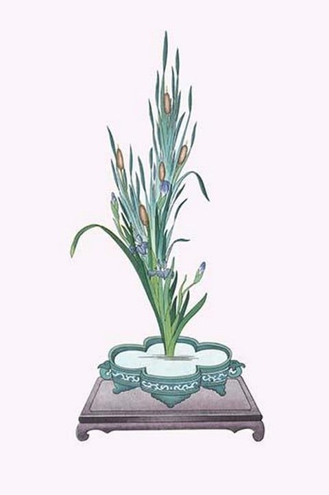 Gama and Kakitsubata (Bulrush & Iris Laevigata) in a Sunabachi by Josiah Conder #2