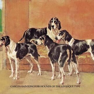 Gascon-Saintongeois Hounds of the Levesque Type by Thomas Ivester Lloyd
