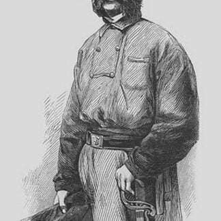 General Ambrose E. Burnside by Frank Leslie #2