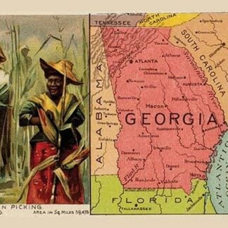 Georgia State Map by Arbuckle Brothers