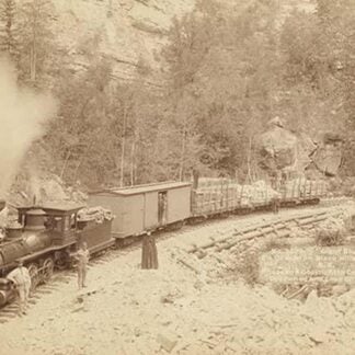 Giant Bluff. Elk Canyon on Black Hills and Ft. P. R.R. #2