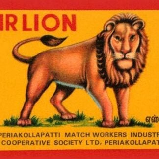 Gir Lion