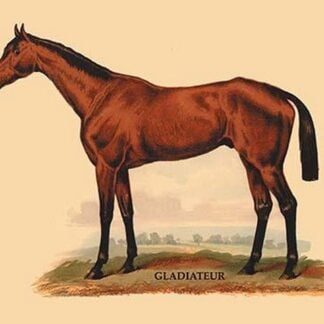 Gladiateur by L. Penicaut