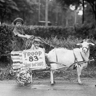 Goat Pulls Young Boys Cart in the Tacoma Festival