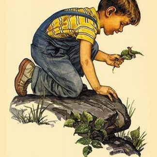 God Made All Things by Charlotte Ware