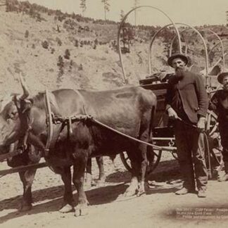 Gold Fever. Prospectors going to the new Gold Field by John C.H. Grabill