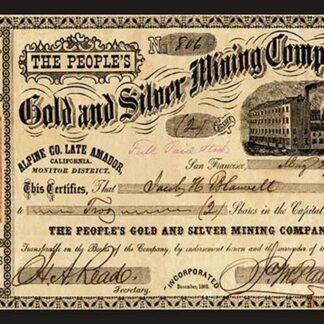 Gold and Silver Mining Company