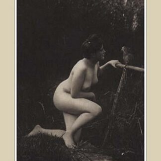 Gossiping with a Parrot