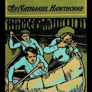 Grandfather's Chair by Nathaniel Hawthorne #2