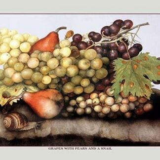 Grapes and Pears with a Snail by Giovanna Garzoni