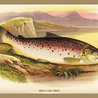 Great Lake Trout by A.F. Lydon