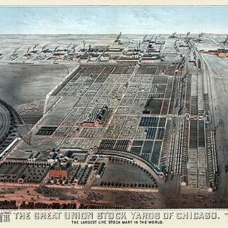 Great Union Stockyards of Chicago by Charles Rascher