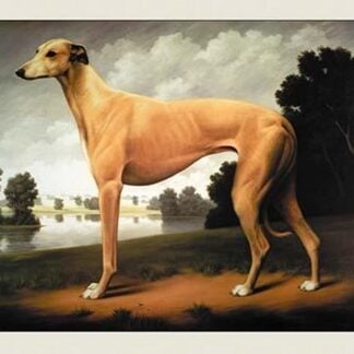 Greyhound on a Parkland Landscape by Christine Merrill