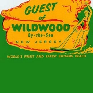 Guest of Wildwood #2
