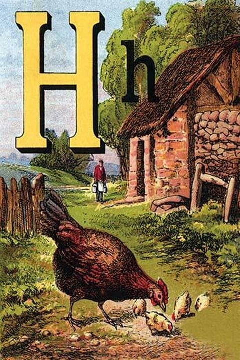 H for the Hen