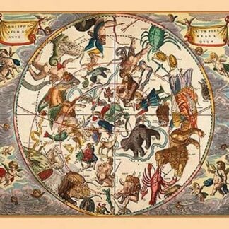 Haemispherium Stellatum Boreale Antiquum by Andreas Cellarius