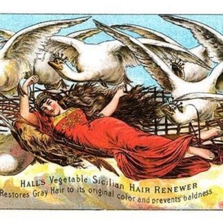 Hall's Vegetable Sicillian Hair Renewer