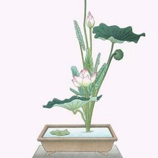 Hasu (Lotus) in Sunabachi by Josiah Conder