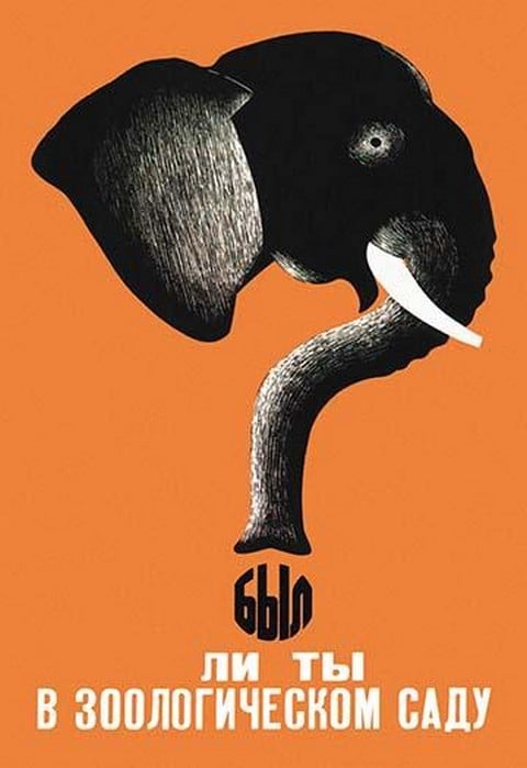 Have You Been to the Zoo?