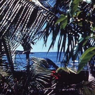 Hawaii by James P. McVey