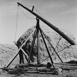 Hay Derrick by Dorothea Lange