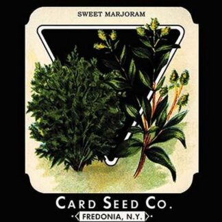Herbs: Sweet Marjoram